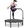 VEVOR Foldable Mini Trampoline, 51 Inch Fitness Rebounder, Max Load 450lbs Exercise Trampoline